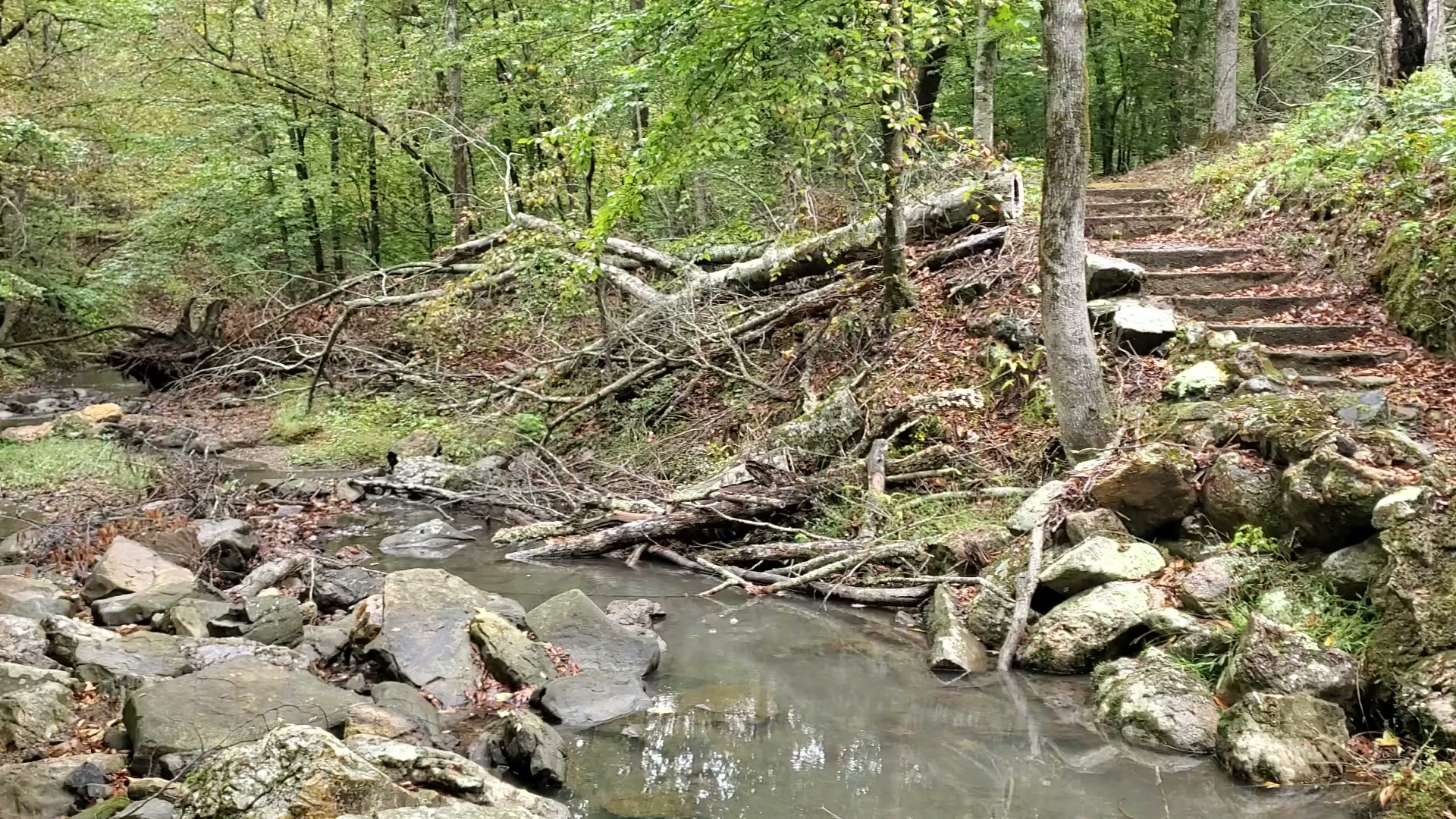 Bard Springs Recreation Area