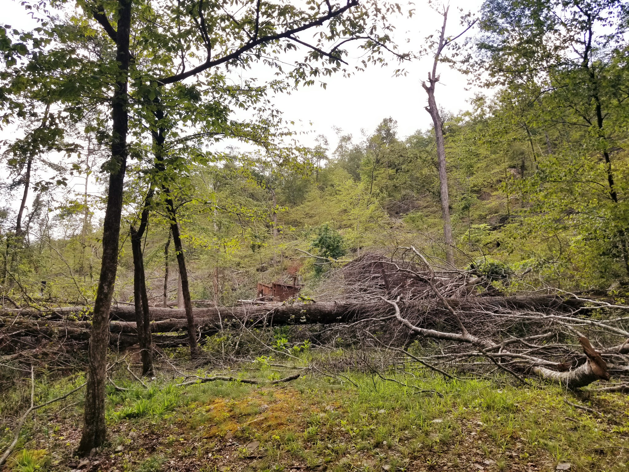 Bard Springs Recreation Area