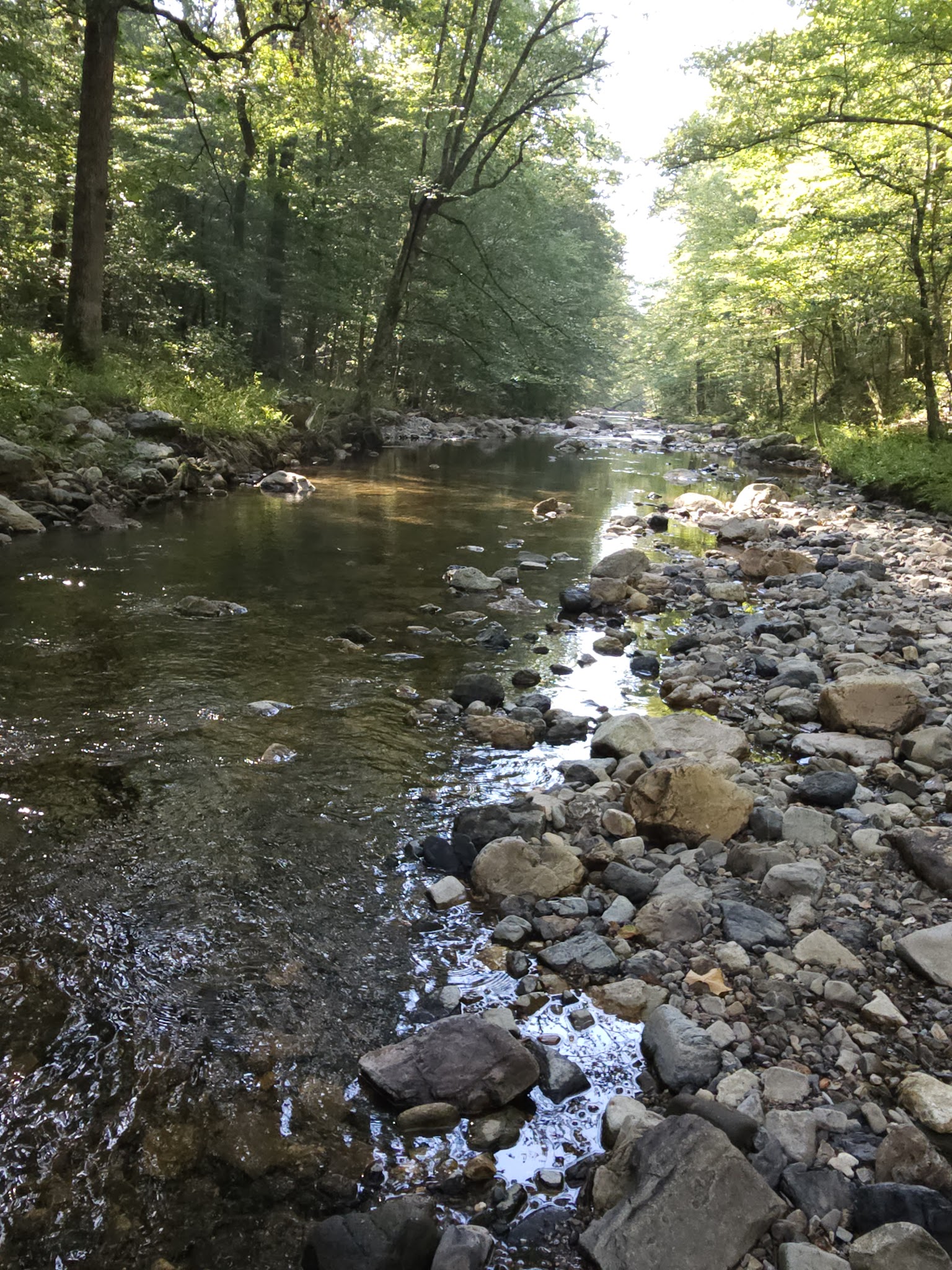 Bard Springs Recreation Area