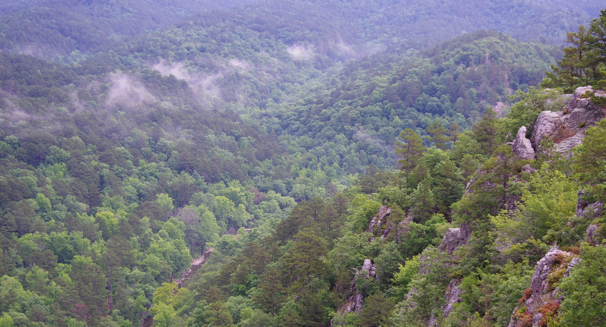 Bard Springs Recreation Area