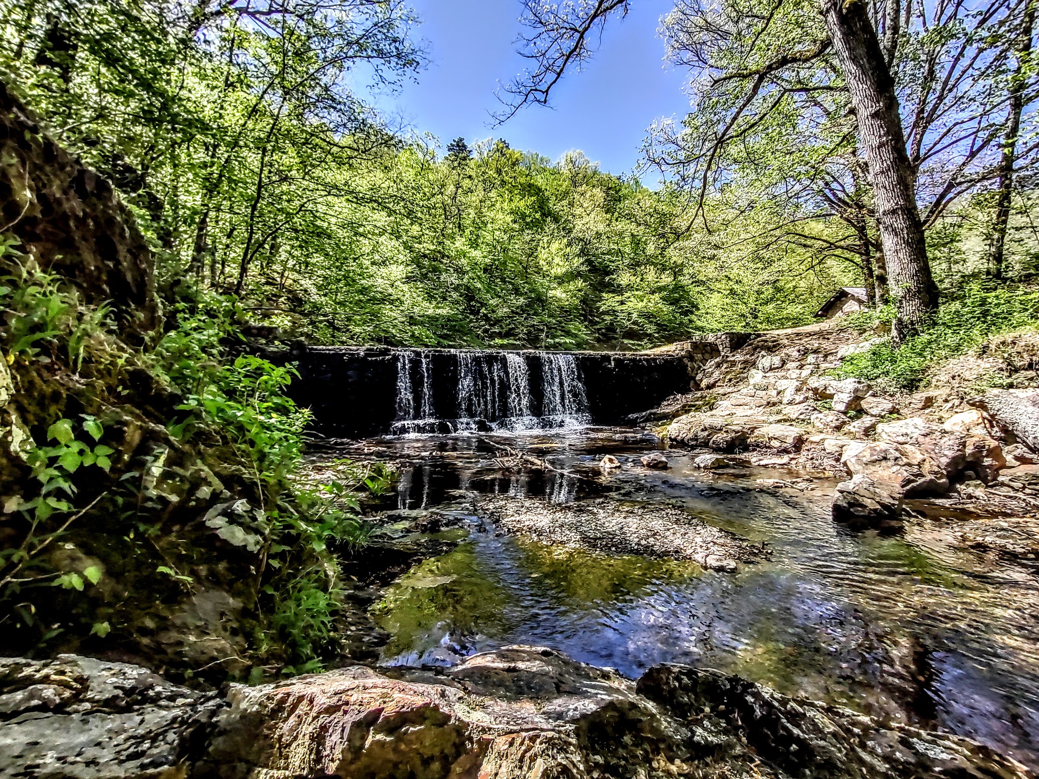 Bard Springs Recreation Area