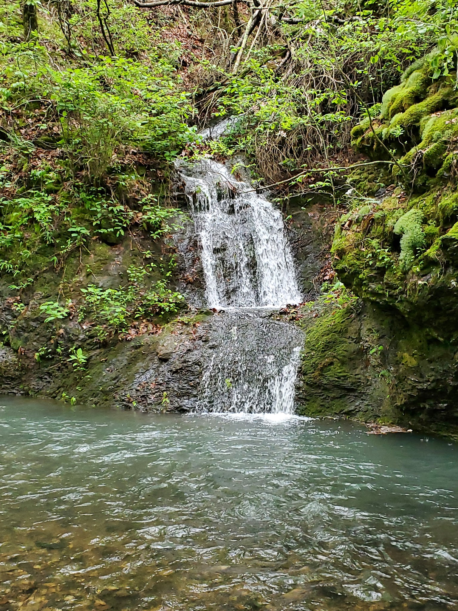Bard Springs Recreation Area
