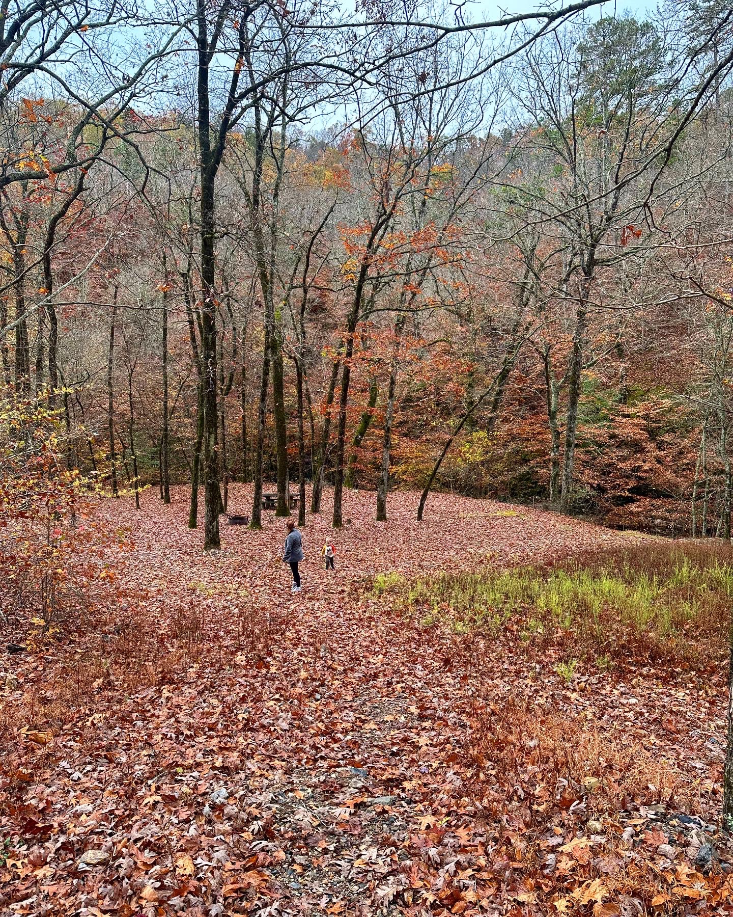 Bard Springs Recreation Area