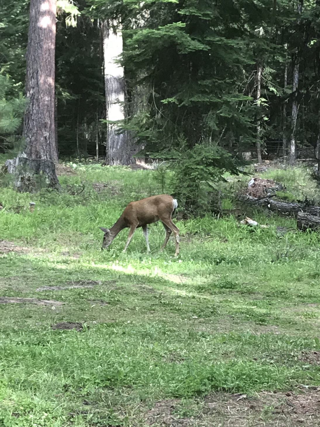 Barnhouse Campground