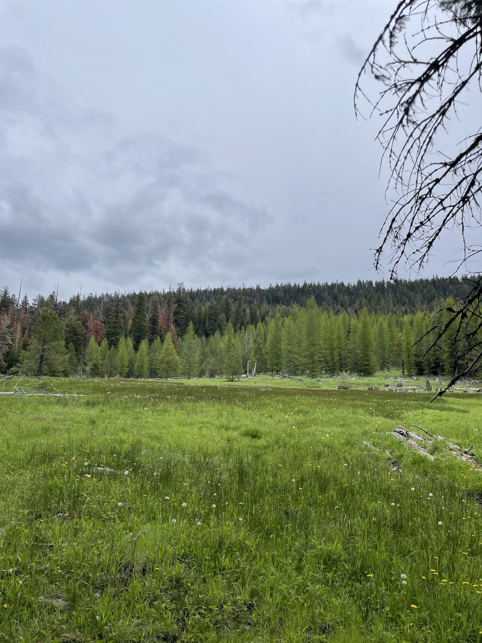 Barnhouse Campground