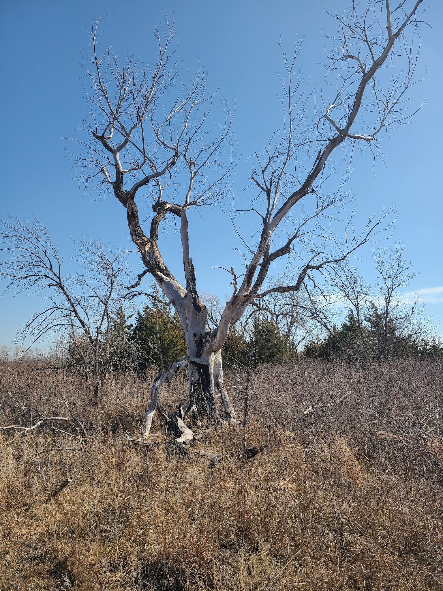 Sand Hills State Park