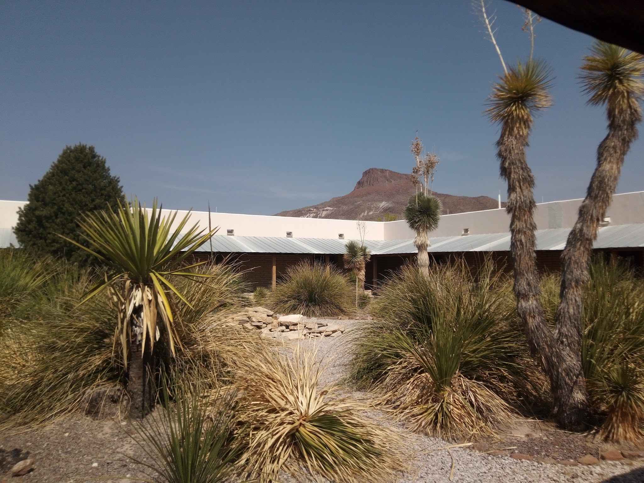 Barton Warnock Visitor Center