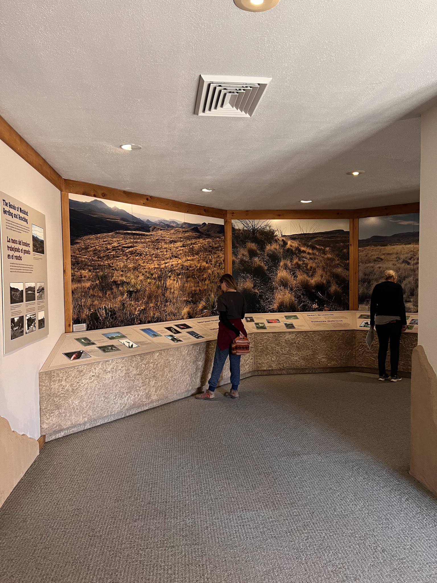 Barton Warnock Visitor Center