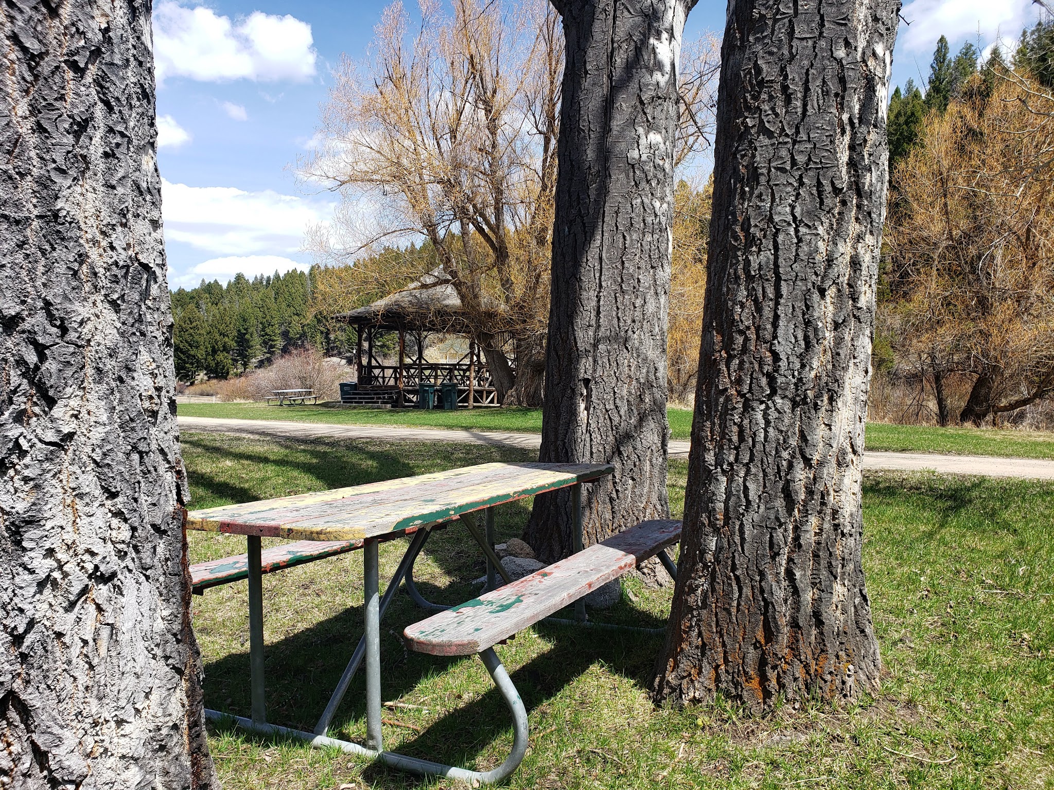Basin Canyon Campground And Picnic Area