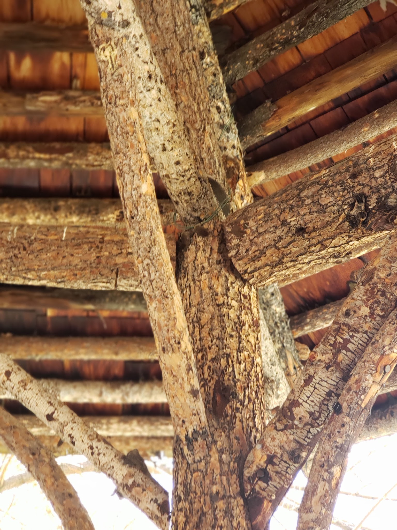 Basin Canyon Campground And Picnic Area