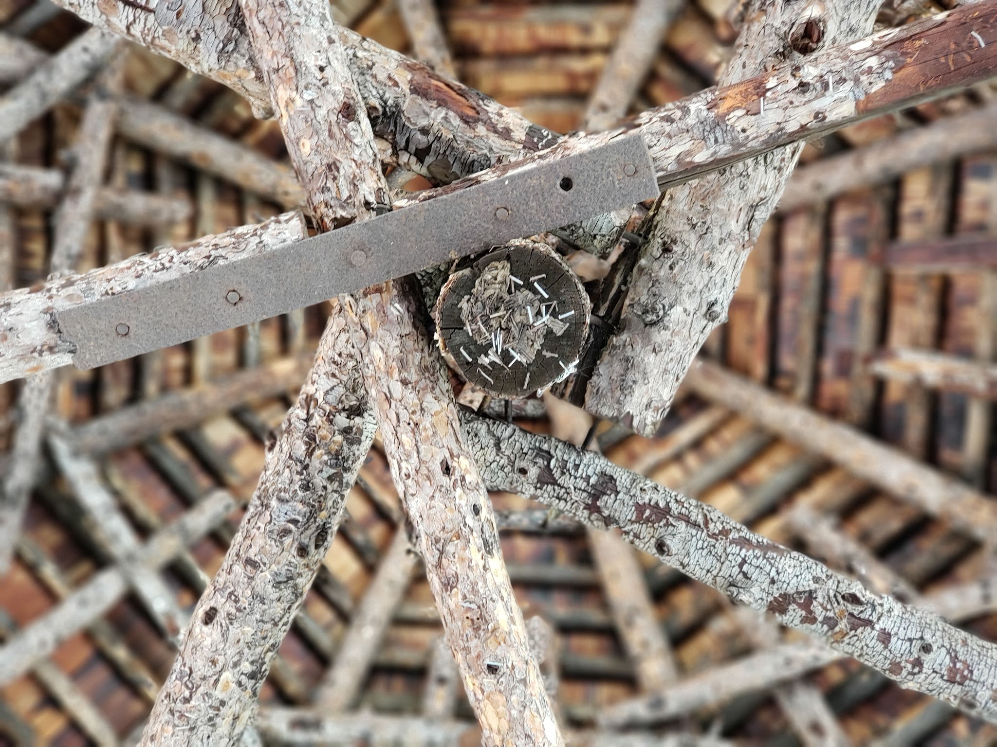 Basin Canyon Campground And Picnic Area