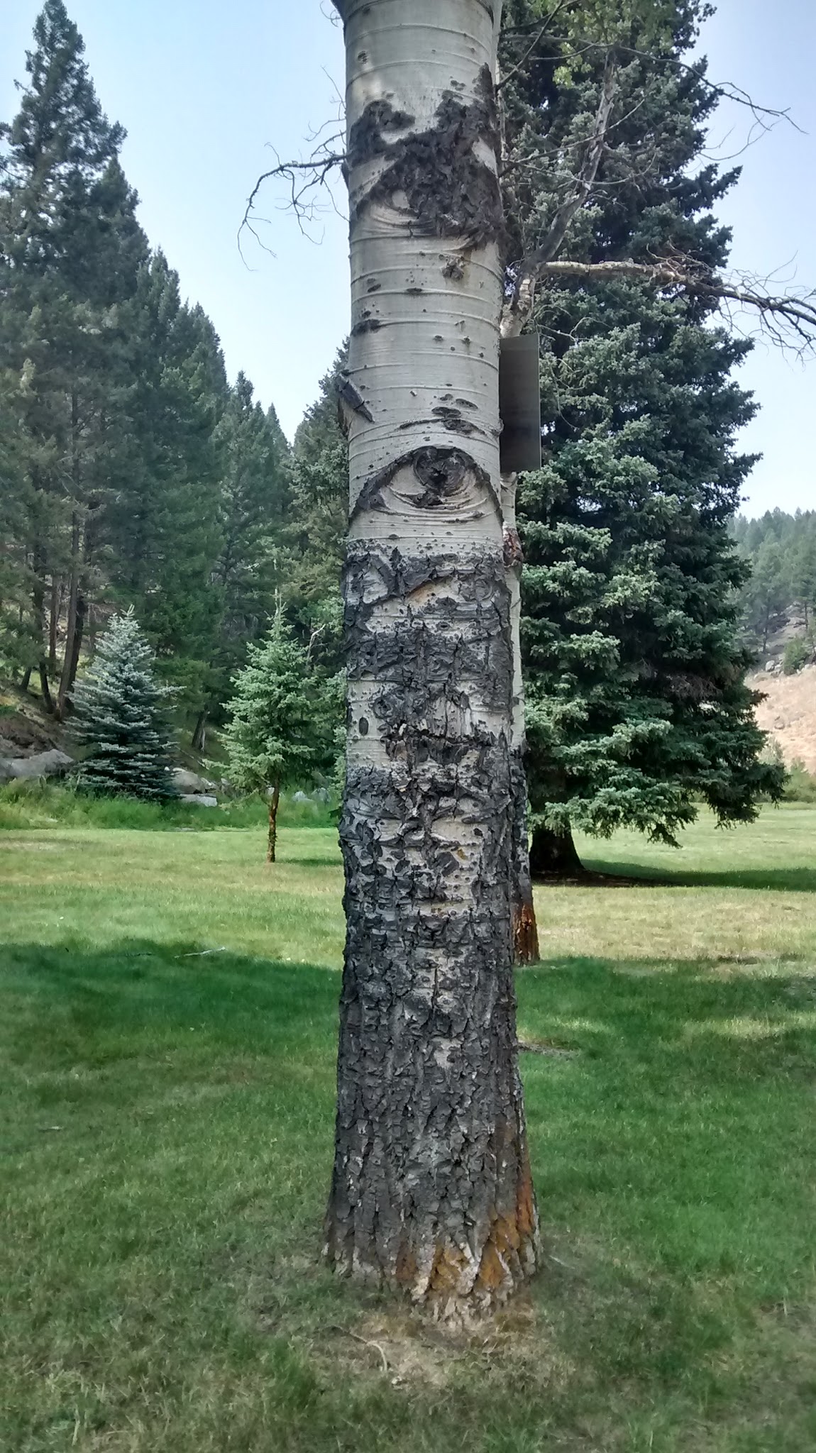 Basin Canyon Campground And Picnic Area