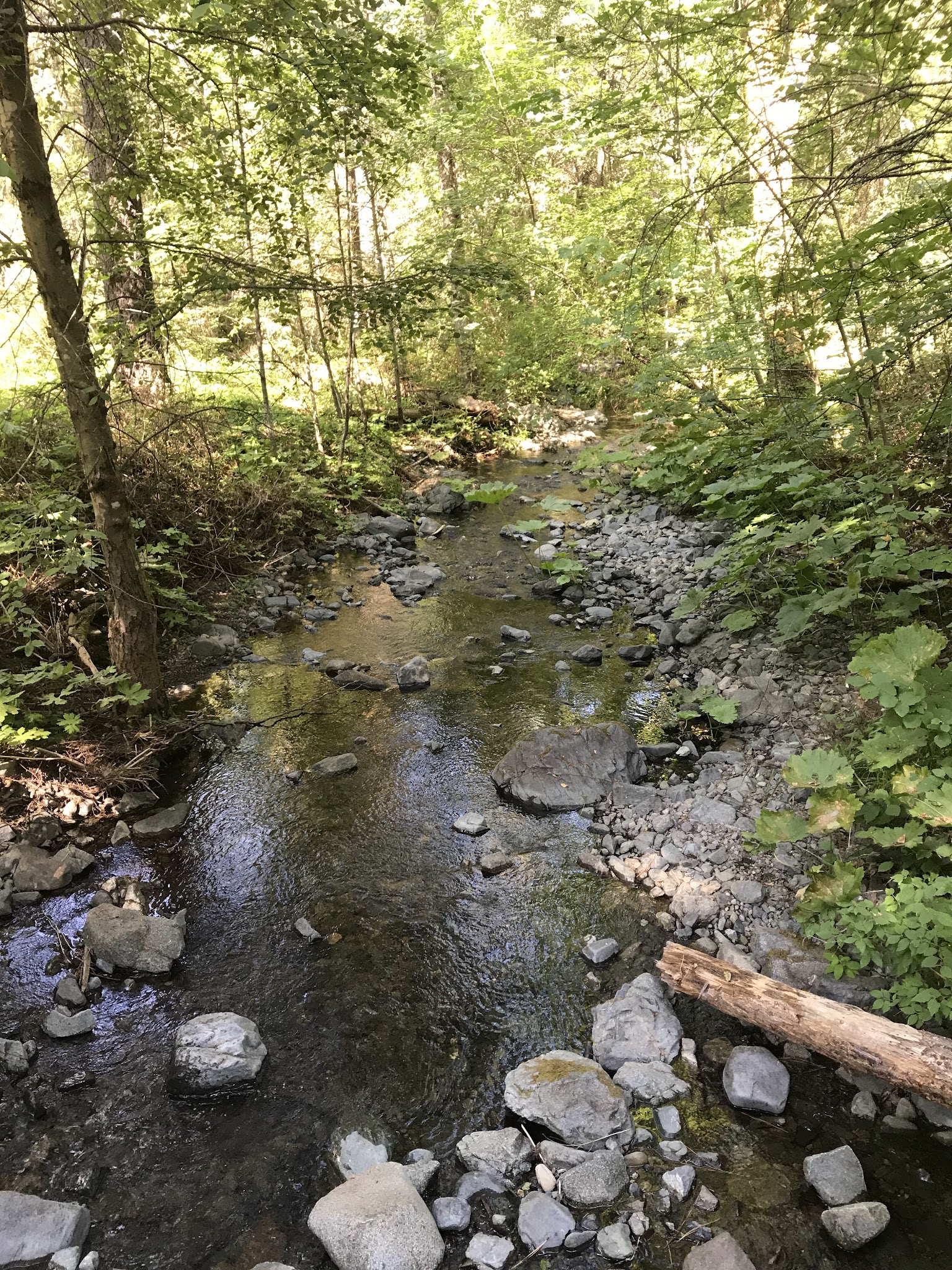 Basin Gulch Campground