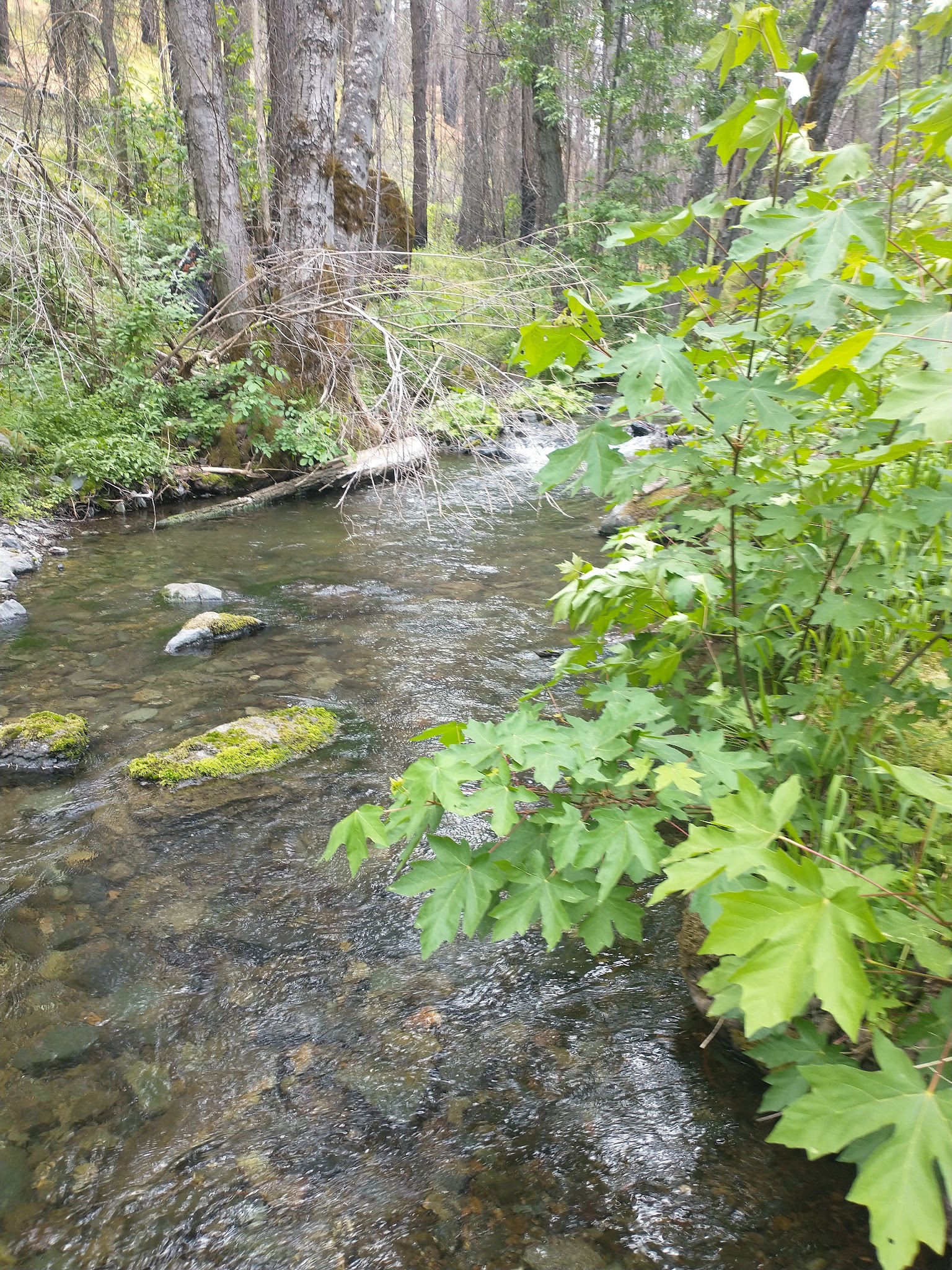 Basin Gulch Campground