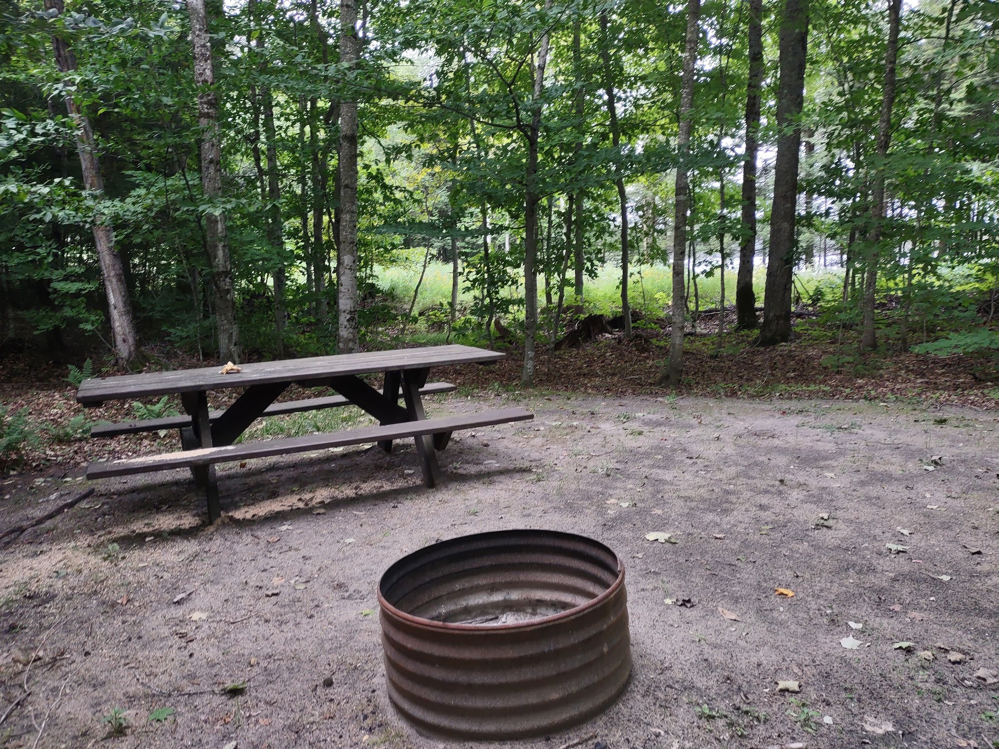Bass Lake State Forest Campground (Luce)