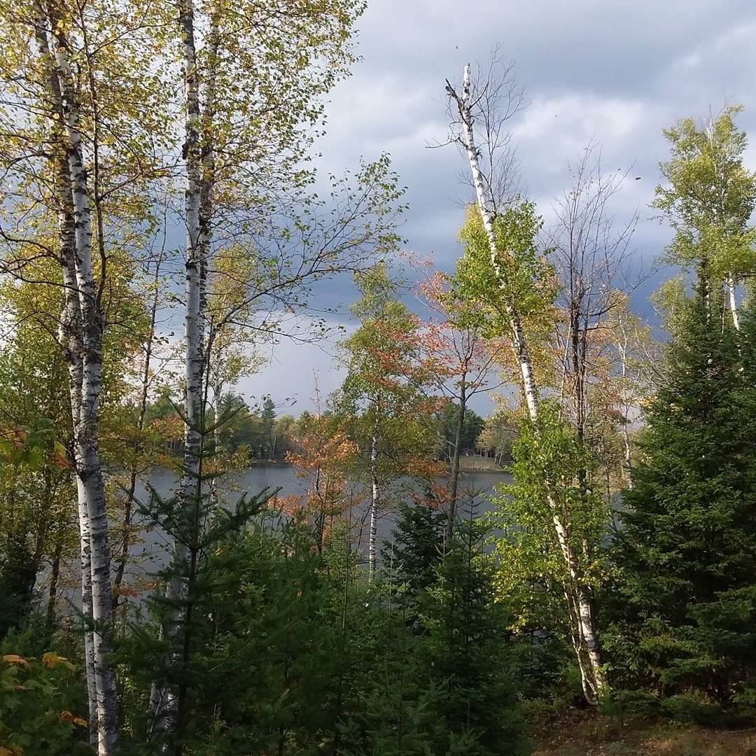 Bass Lake State Forest Campground (Marquette)