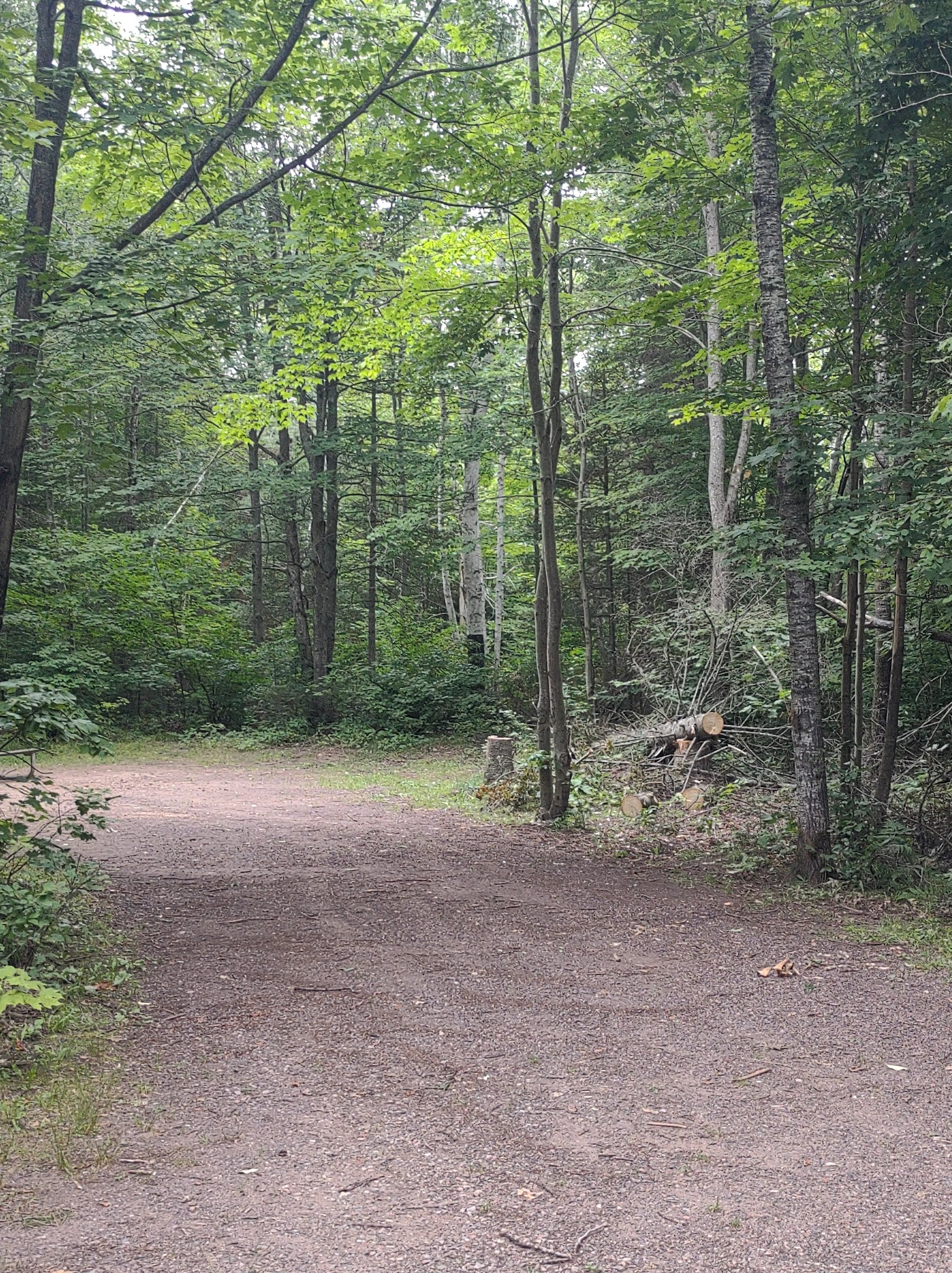 Bass Lake State Forest Campground (Marquette)