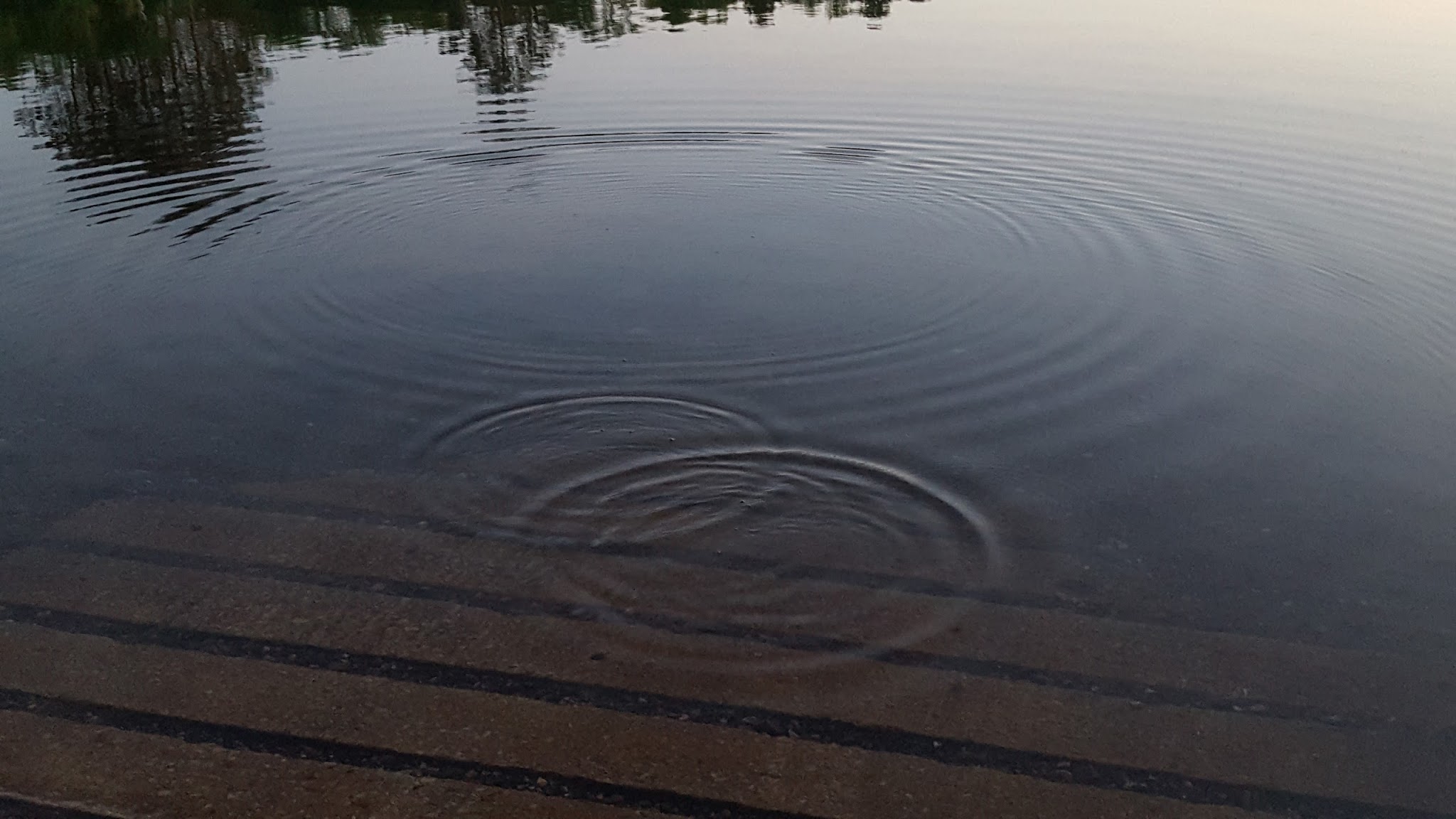 Bass Lake State Forest Campground (Marquette)