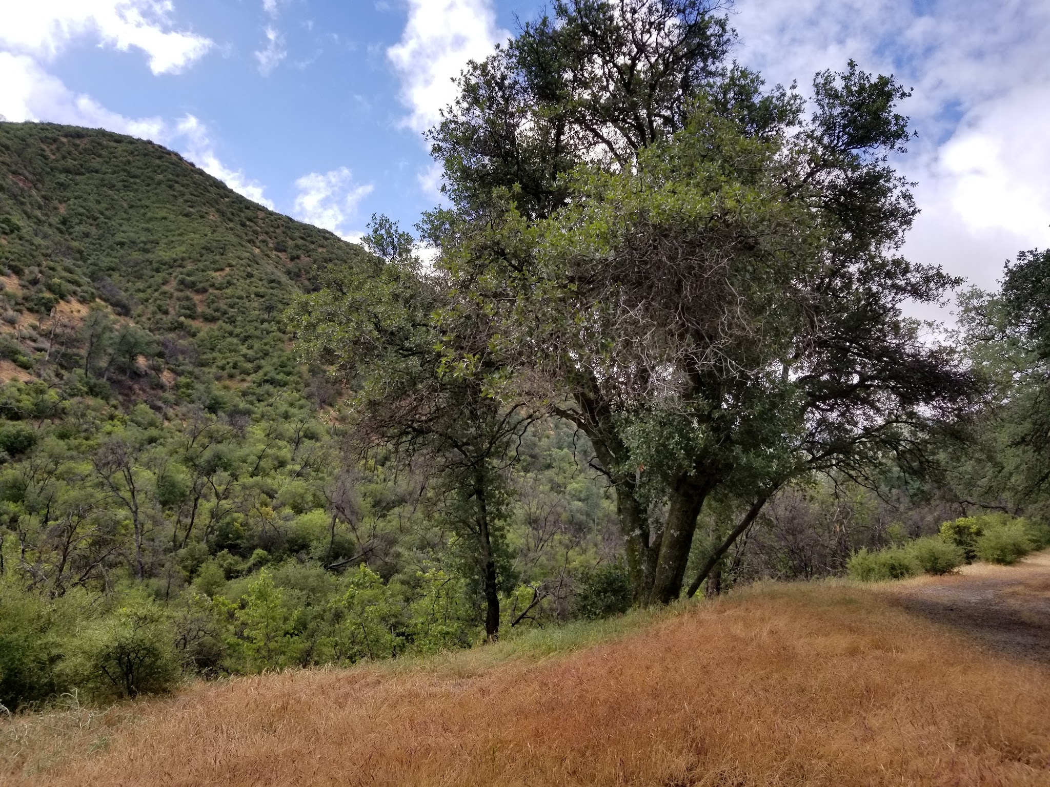Bates Canyon Campground