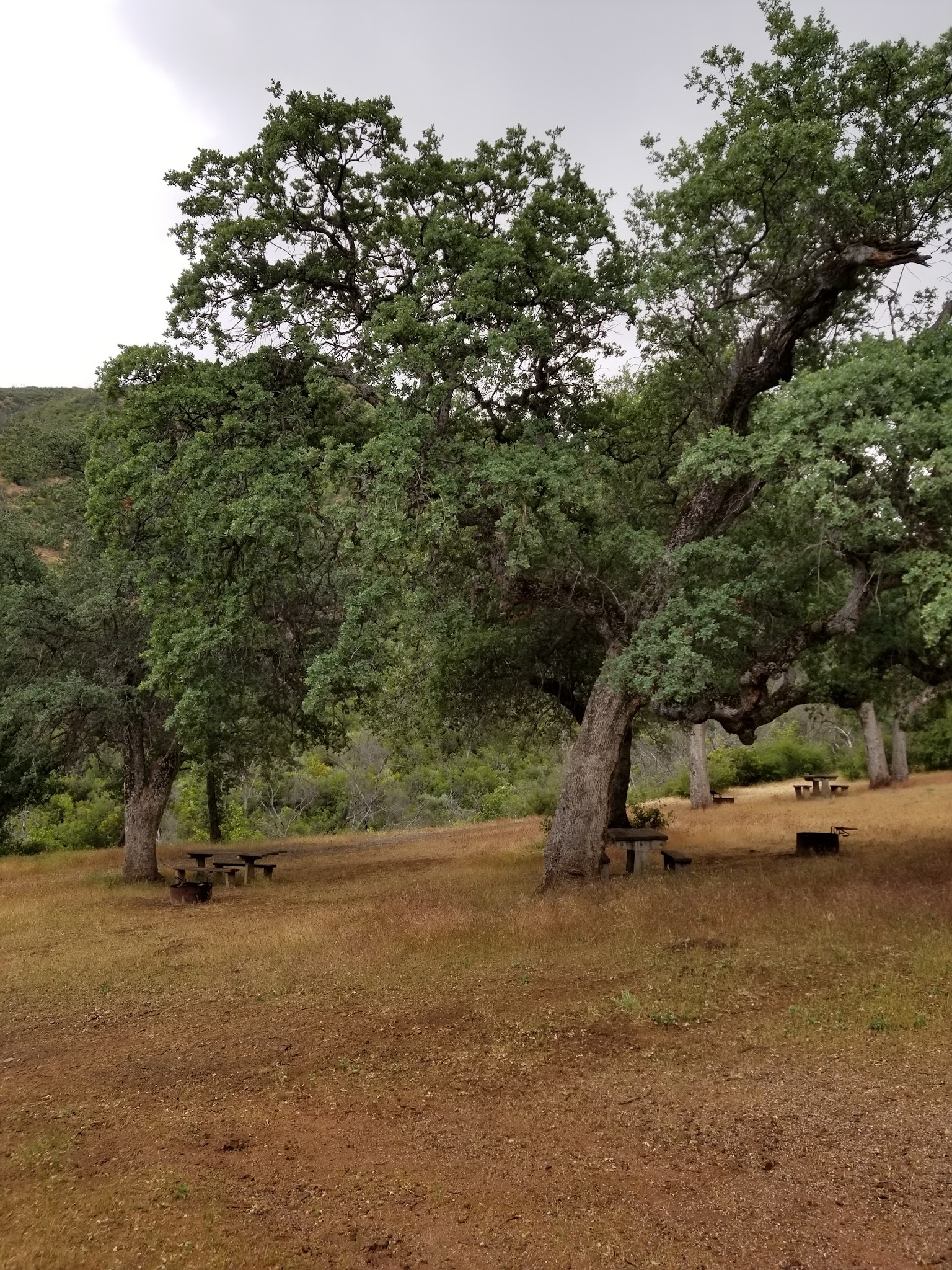 Bates Canyon Campground