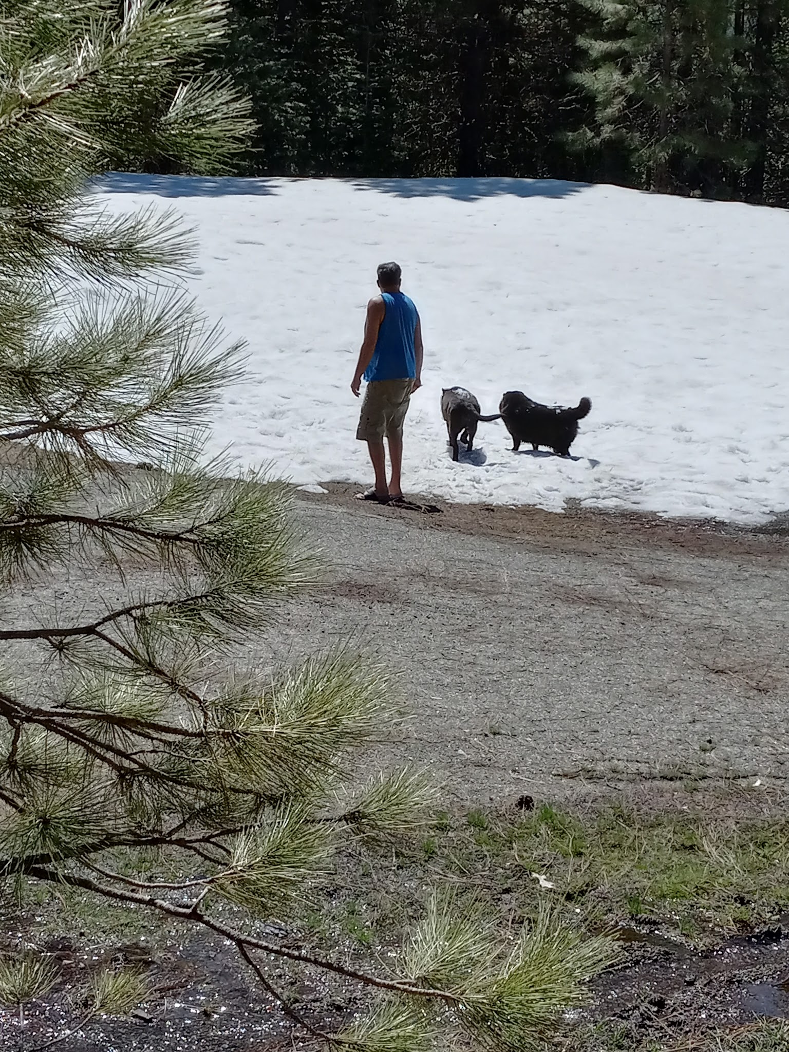 Battle Creek Campground