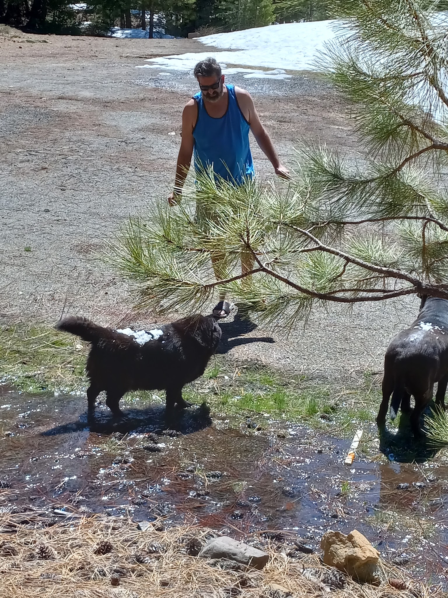 Battle Creek Campground