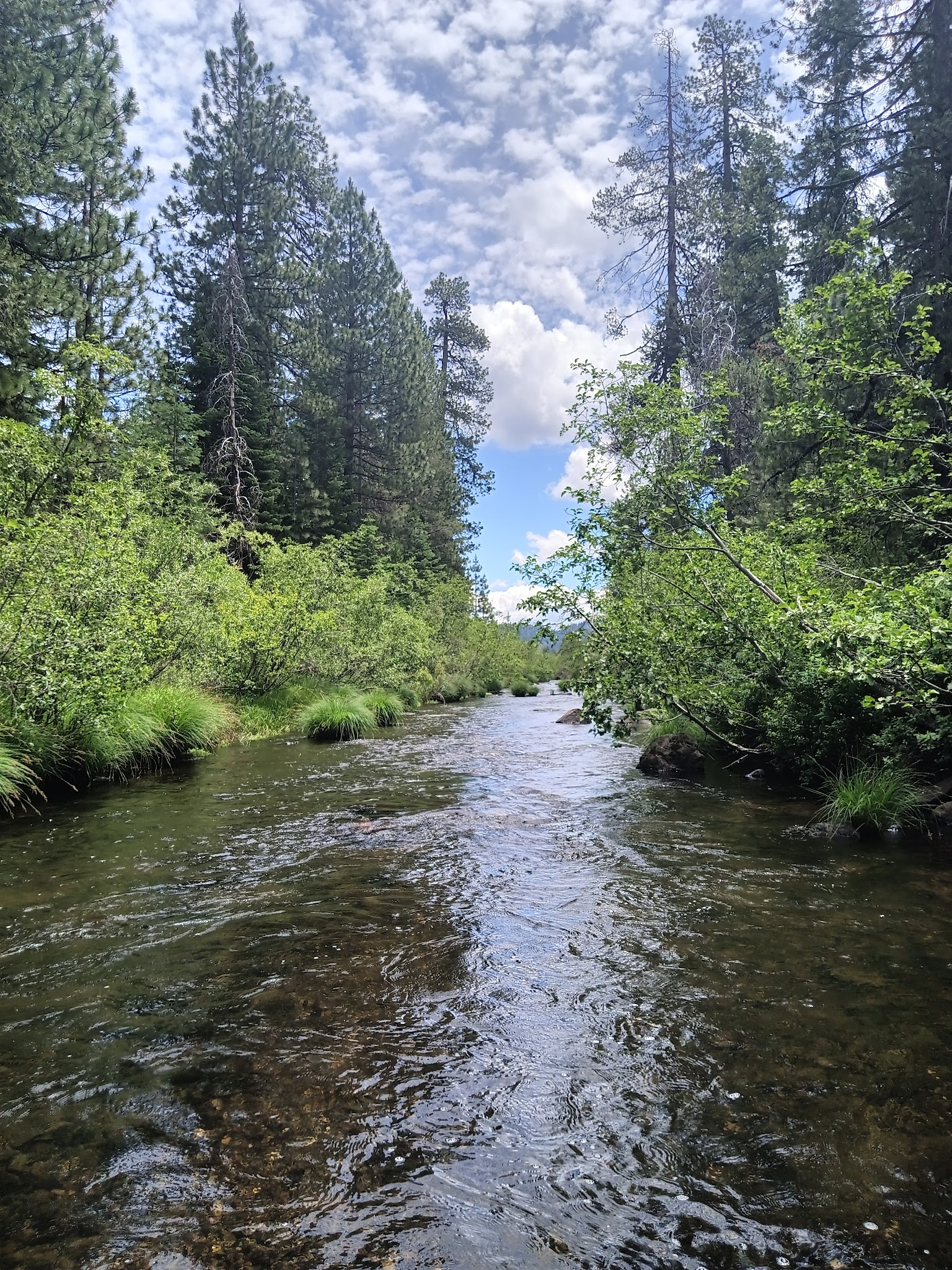 Battle Creek Campground