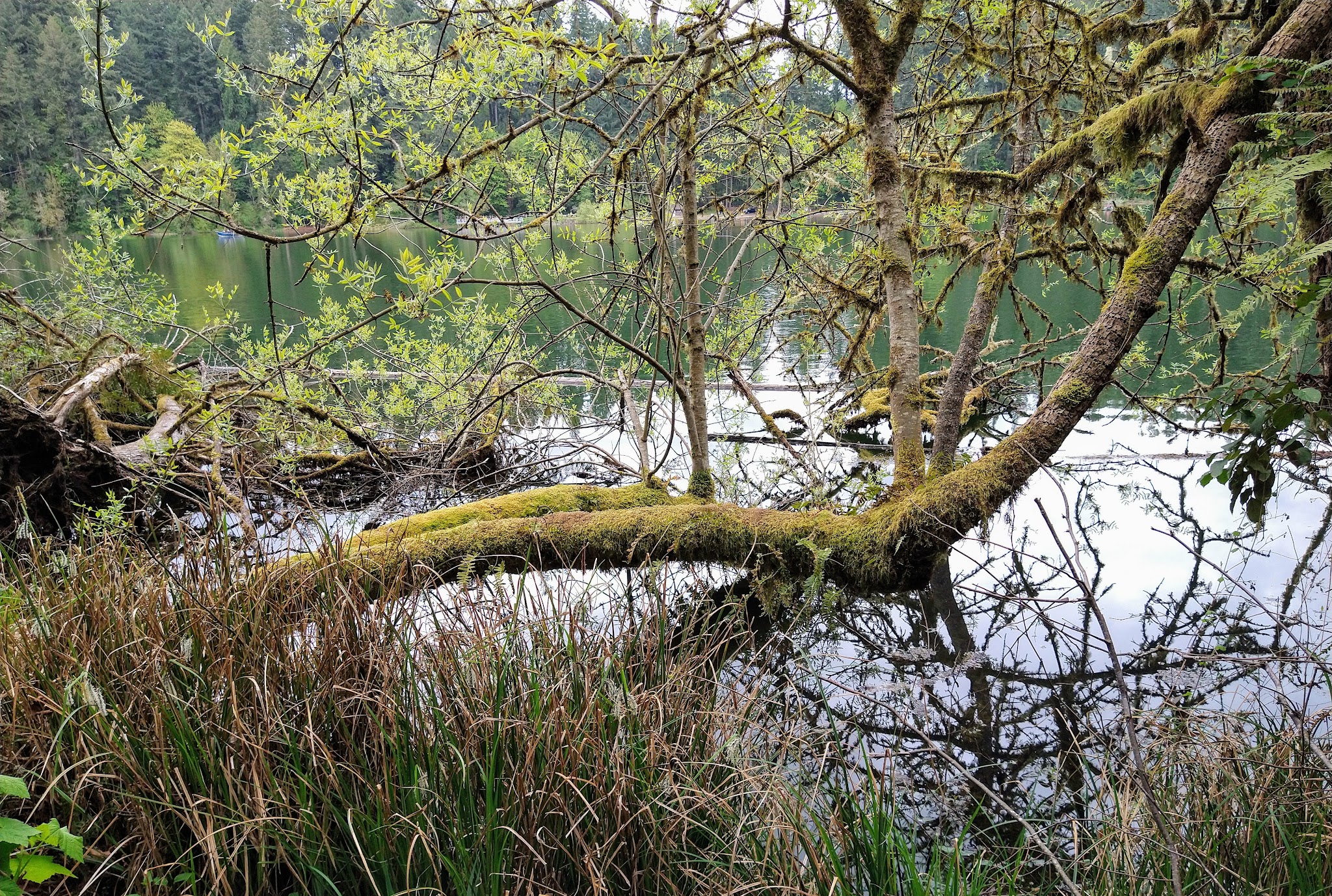 Battle Ground Lake State Park