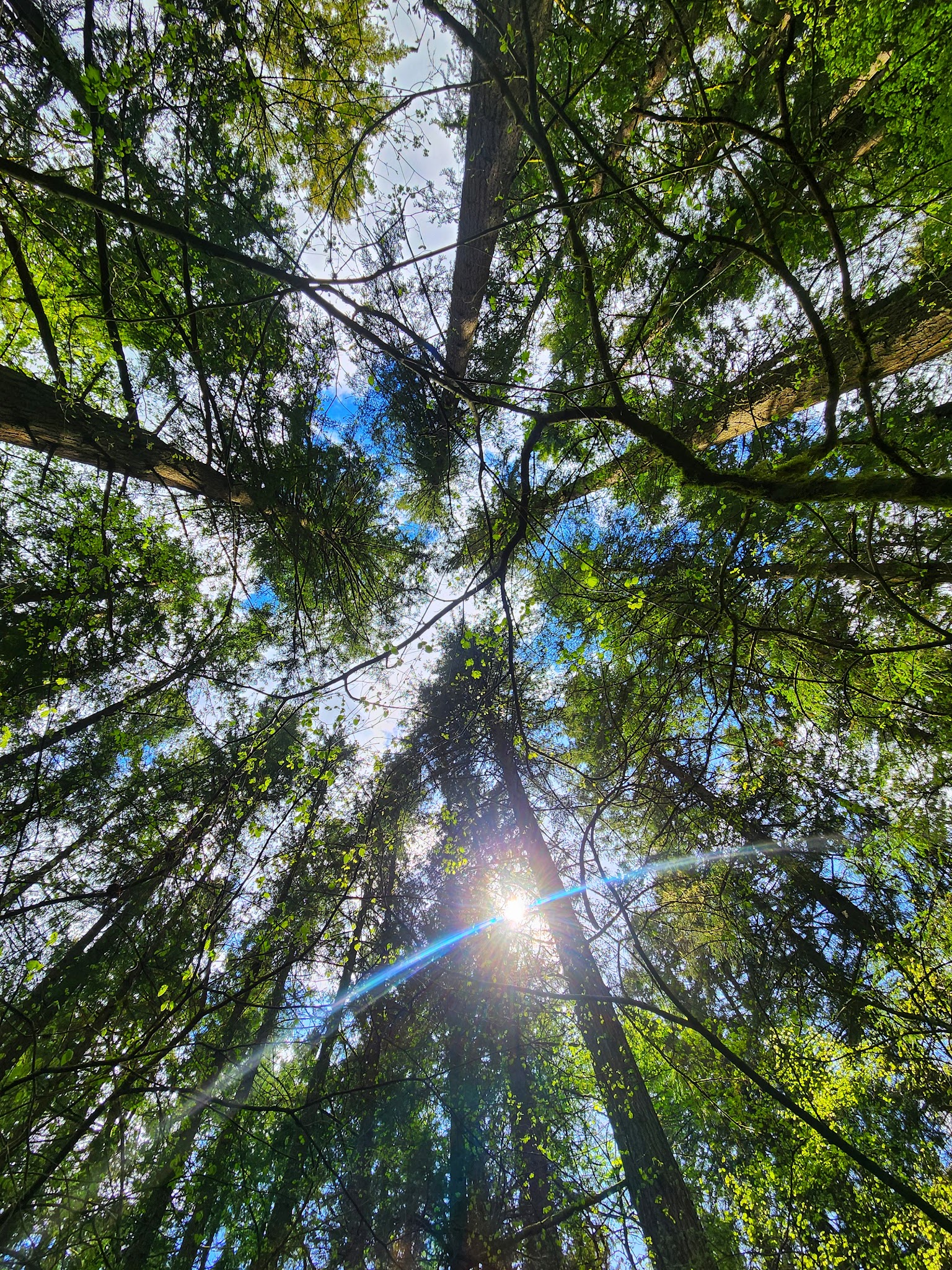 Battle Ground Lake State Park