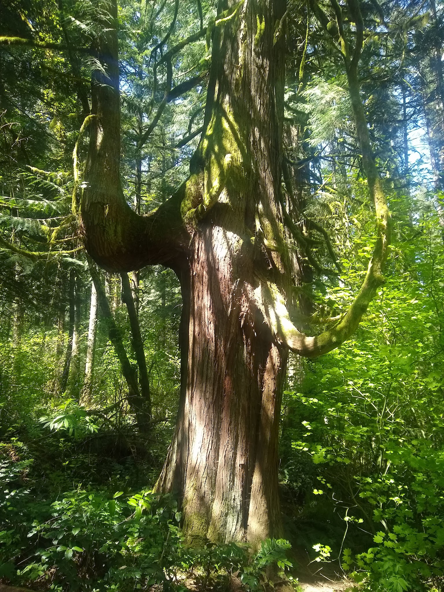 Battle Ground Lake State Park