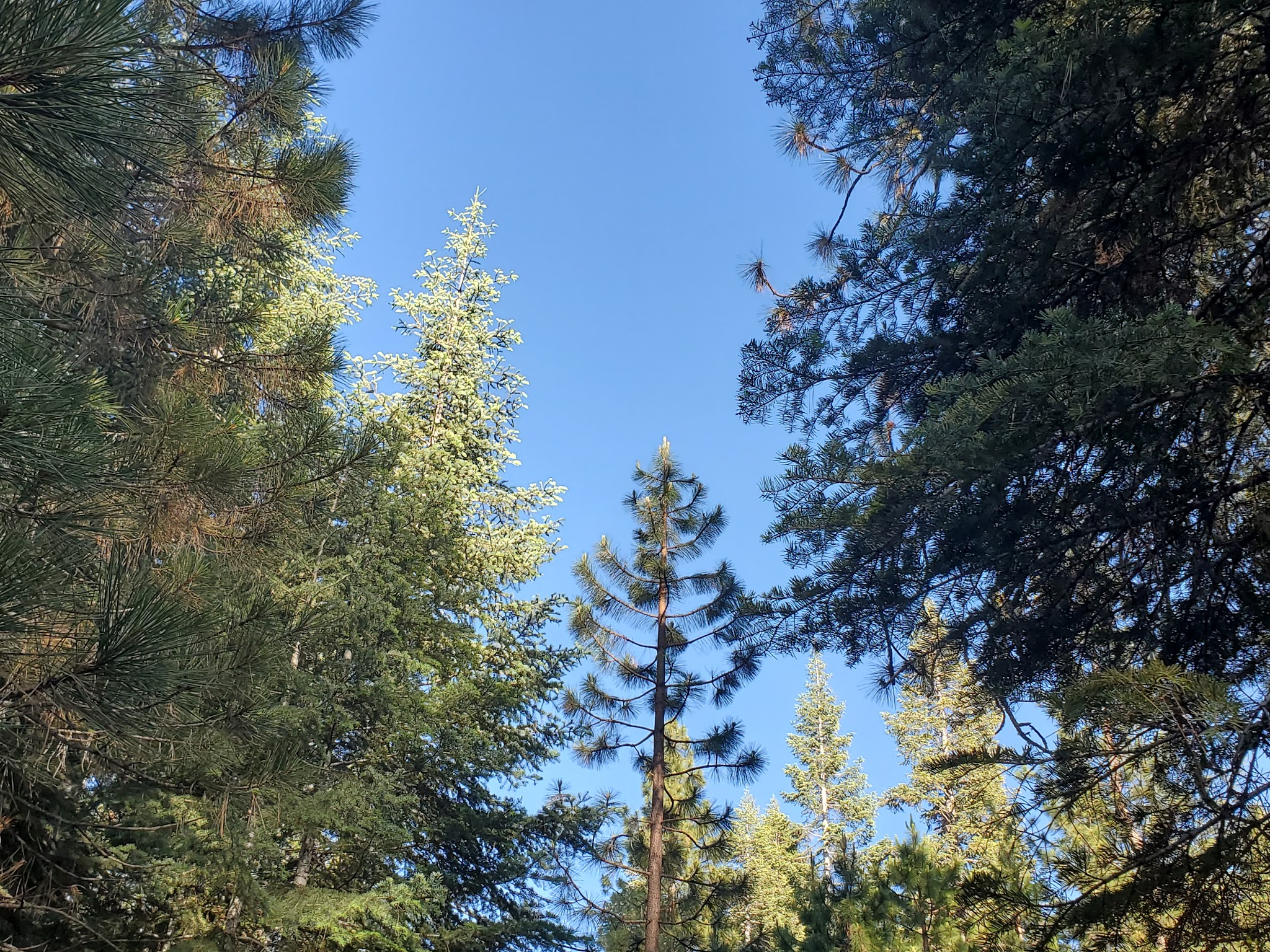 Battle Creek Campground