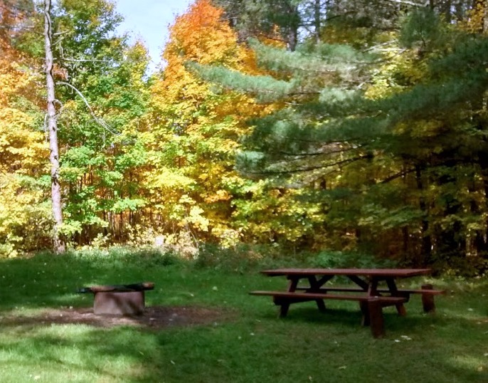 Baxter Bridge State Forest Campground