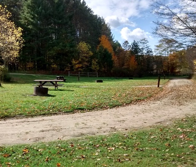 Baxter Bridge State Forest Campground