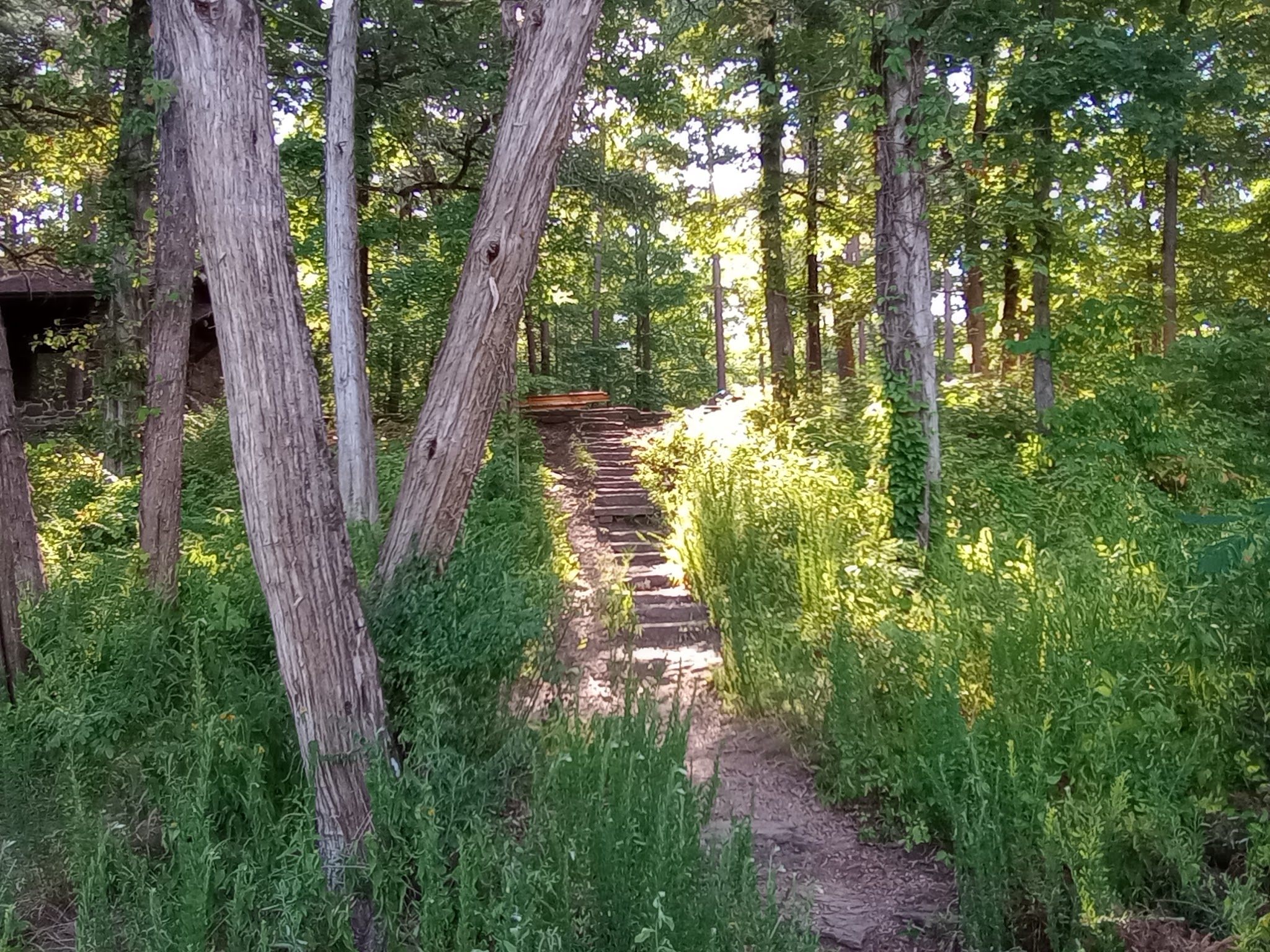 Bayou Bluff Point Of Interest
