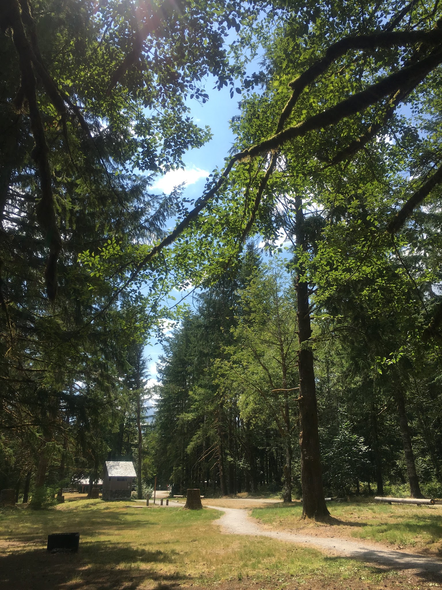 Bayview Campground (Mt. Baker-Snoqualmie National Forest, Wa)