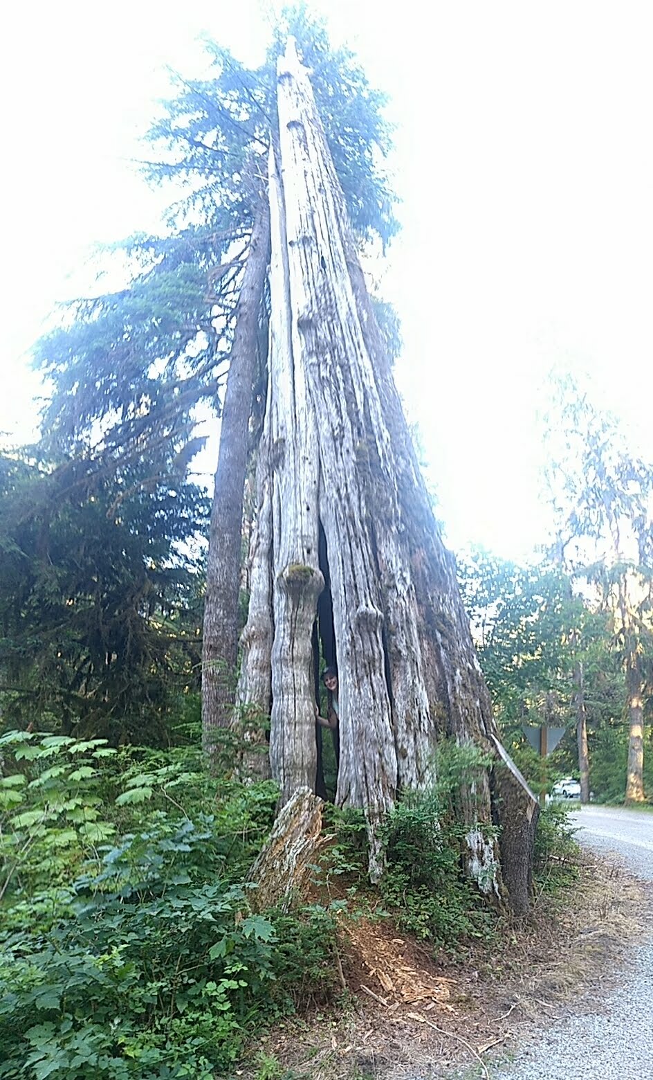Bayview Campground (Mt. Baker-Snoqualmie National Forest, Wa)