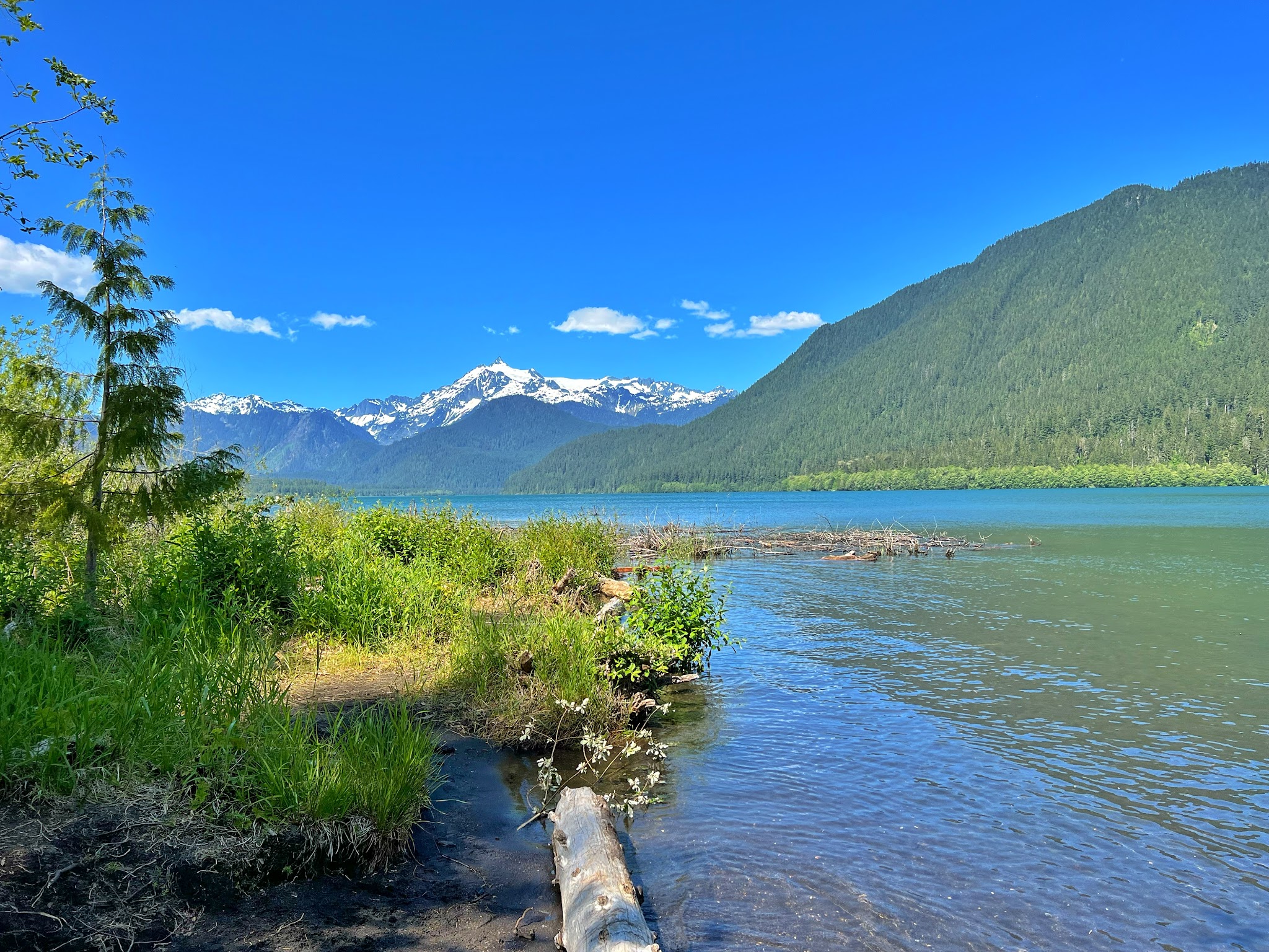 Bayview Campground (Mt. Baker-Snoqualmie National Forest, Wa)