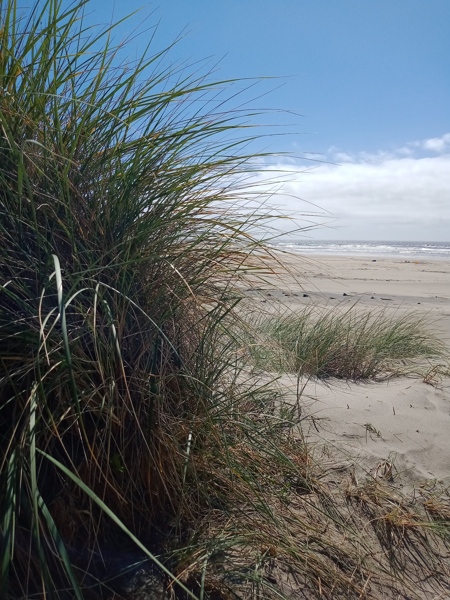 Beachside State Recreation Site