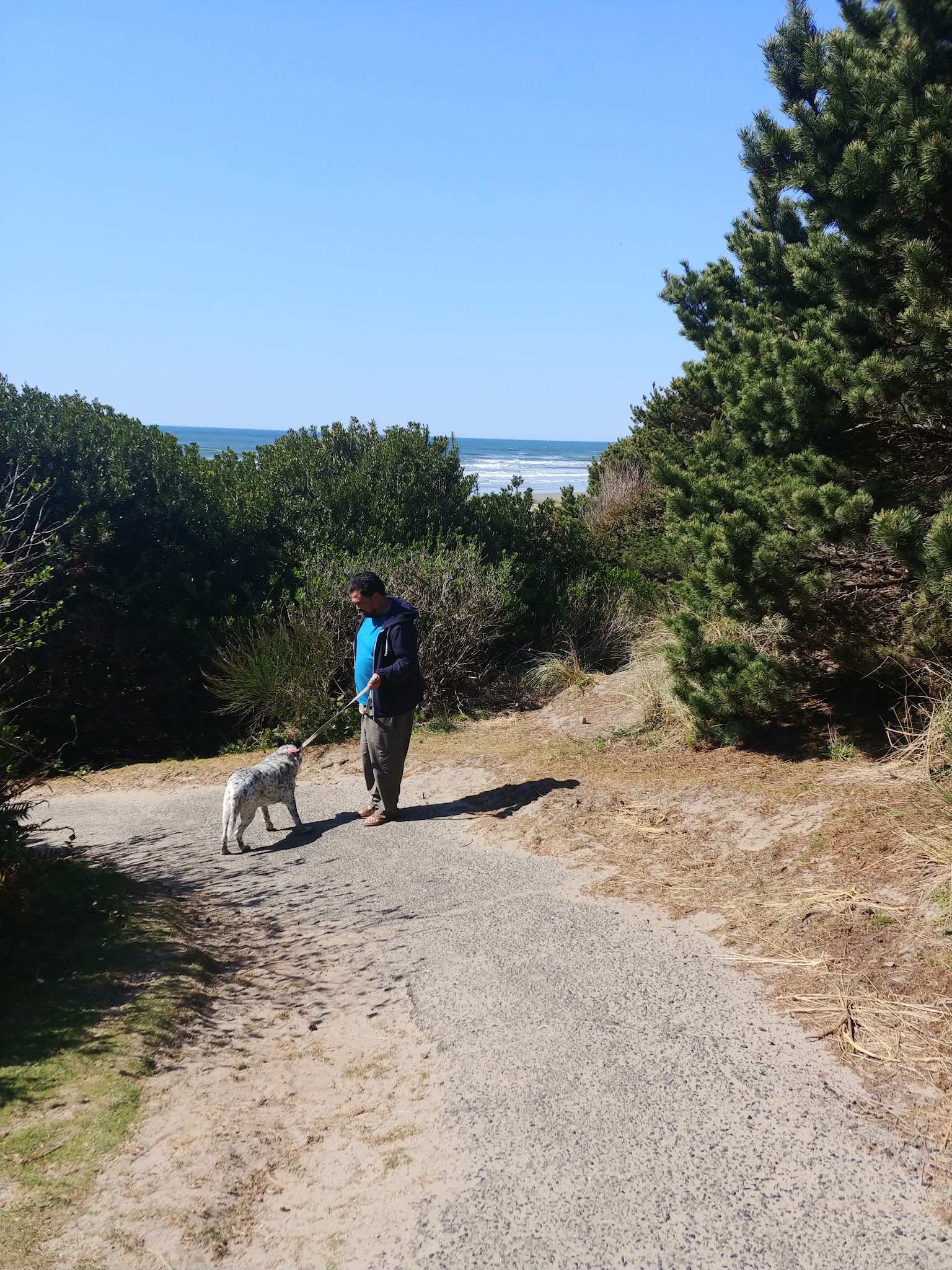 Beachside State Recreation Site