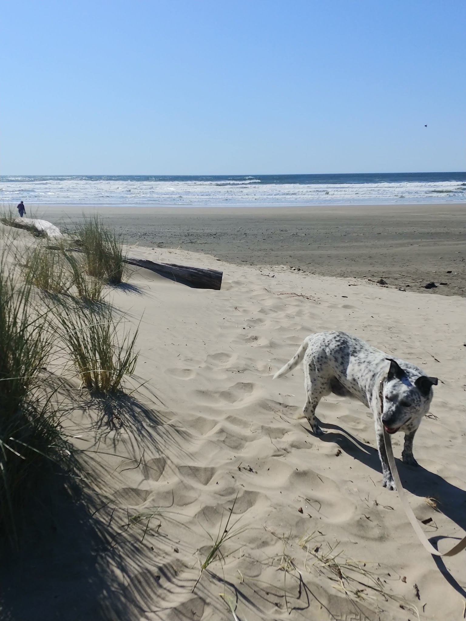 Beachside State Recreation Site