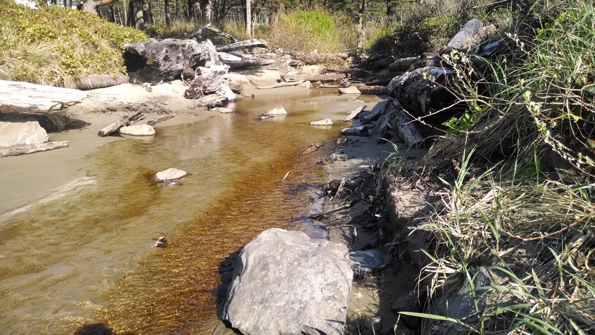 Beachside State Recreation Site