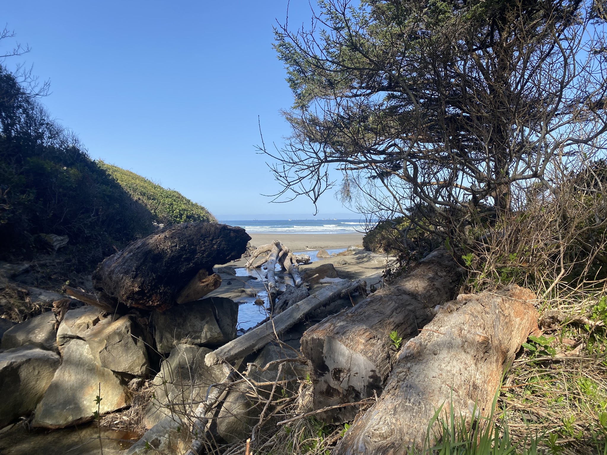 Beachside State Recreation Site