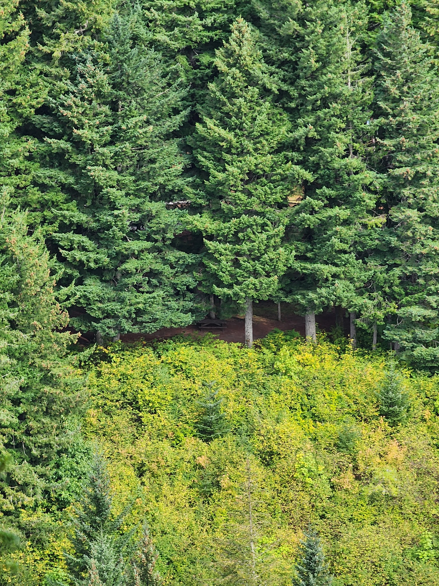 Beacon Rock State Park