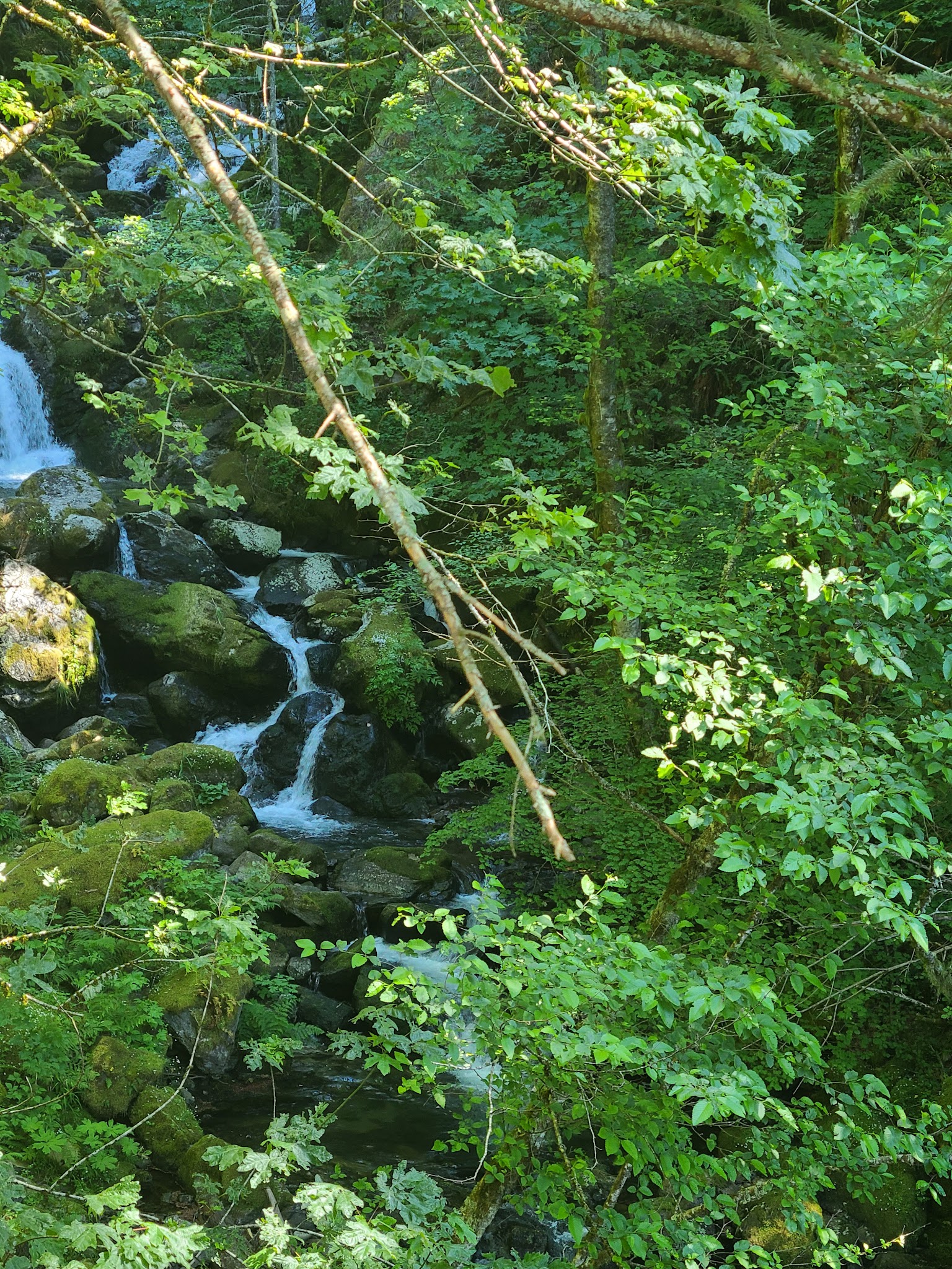 Beacon Rock State Park