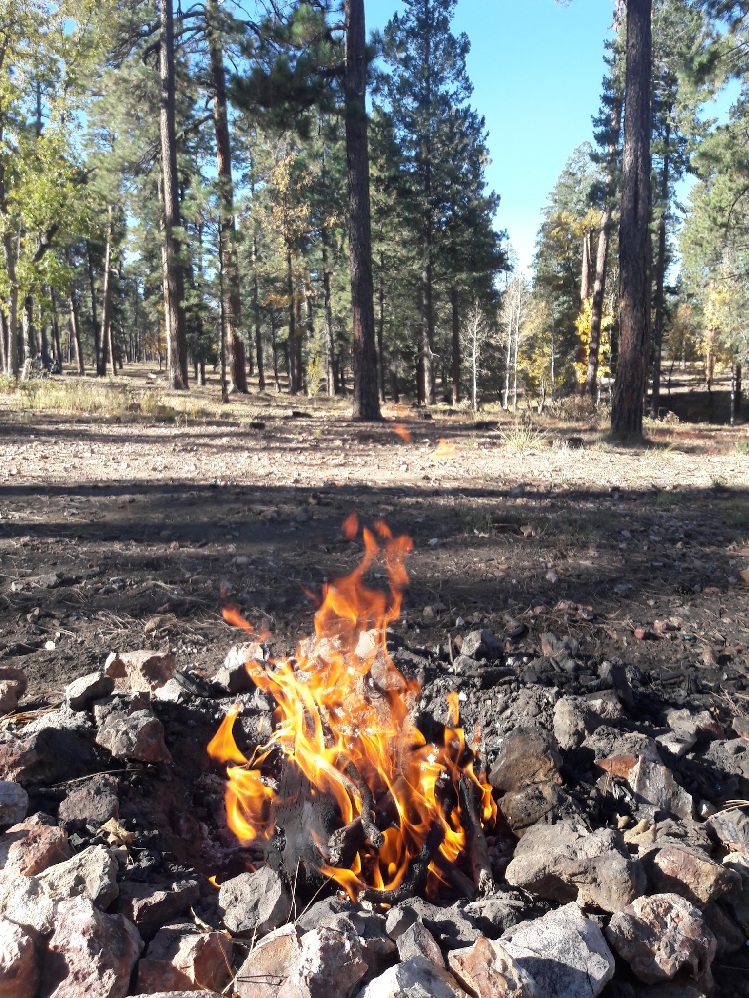 Bear Canyon Lake And Camping Area