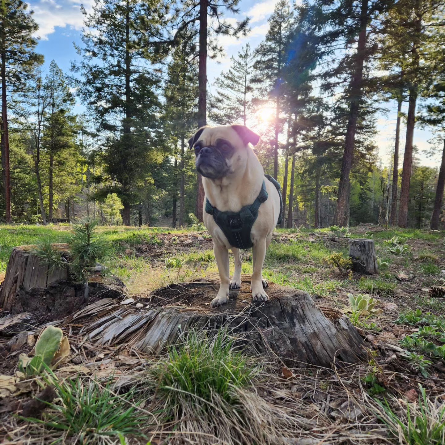 Bear Canyon Lake And Camping Area