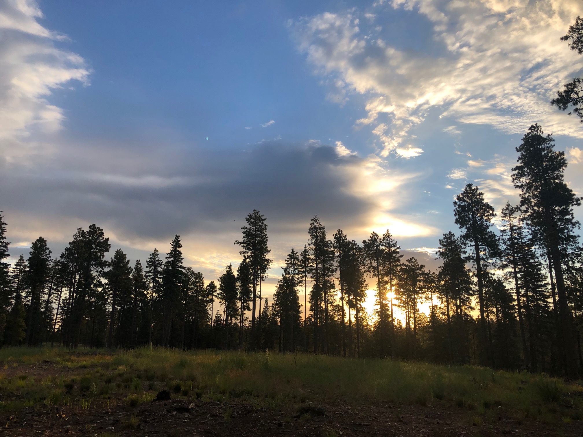 Bear Canyon Lake And Camping Area