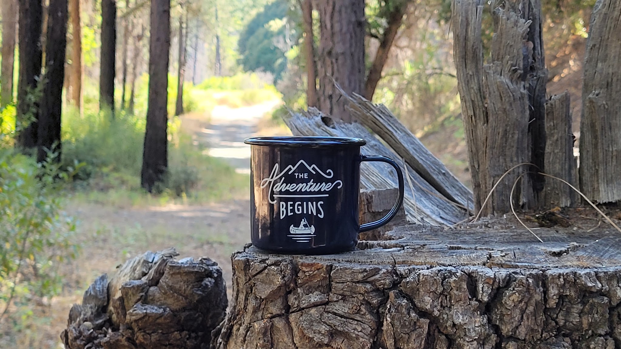 Bear Creek Campground