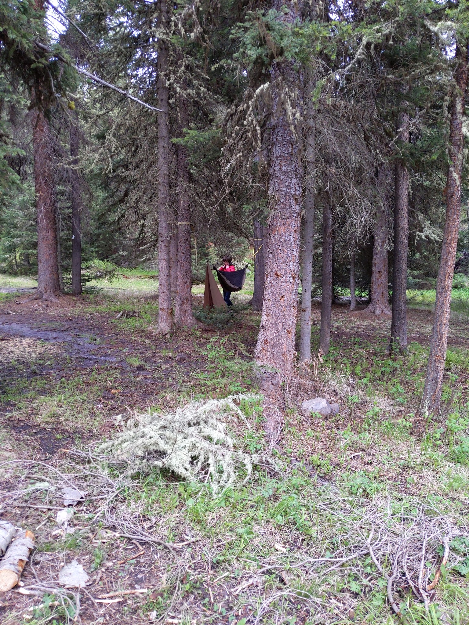 Bear Creek Campground