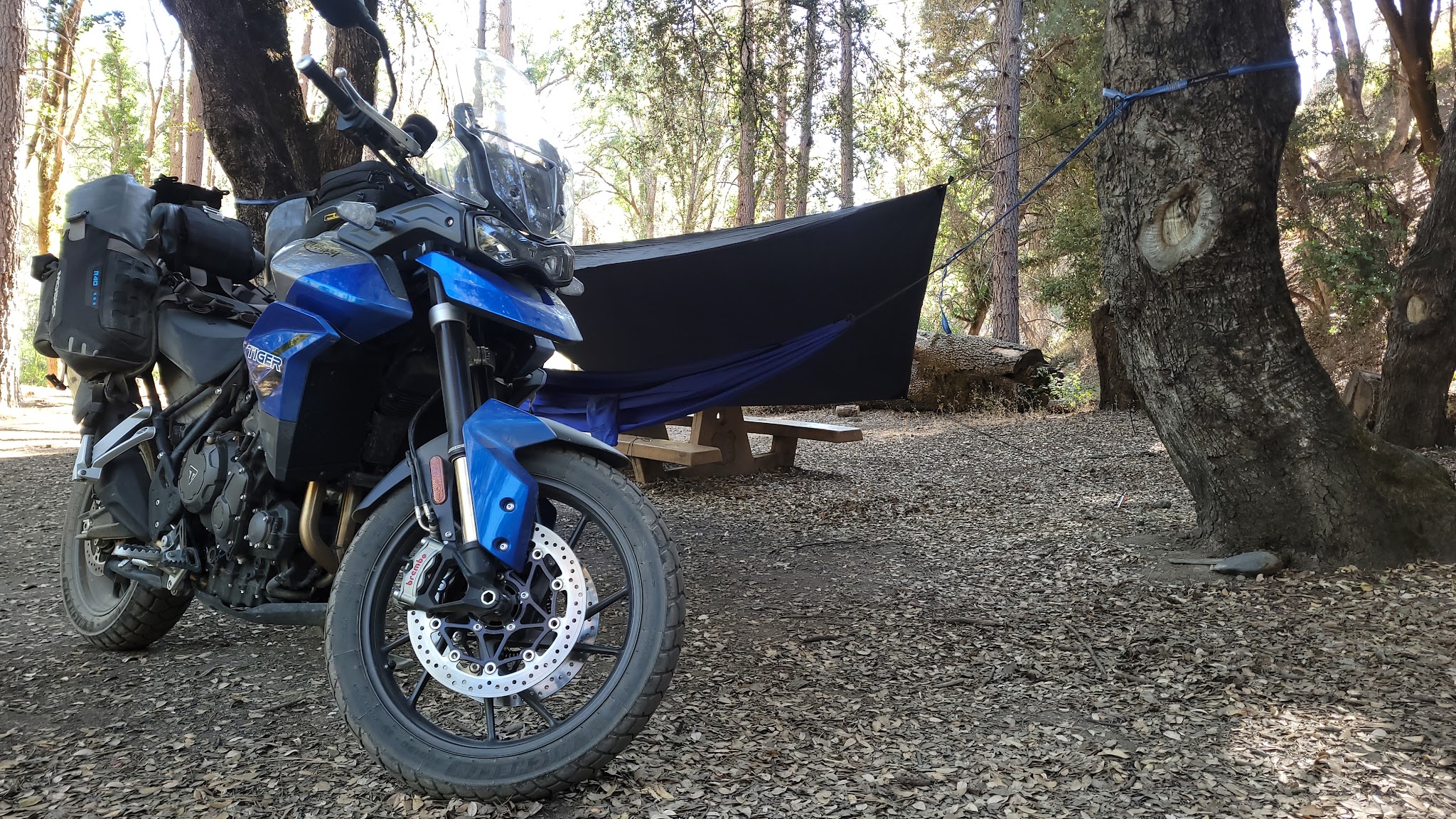 Bear Creek Campground